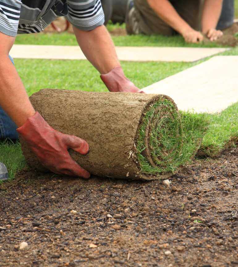 posa rotoli di erba system green